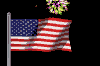 Click here for a Fireworks Video...
