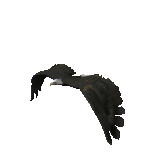 The Day The Eagle Cried