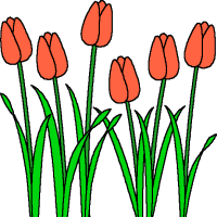 2011 ~ Jacob's Tulips