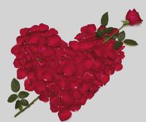 Happy Valentine's Day