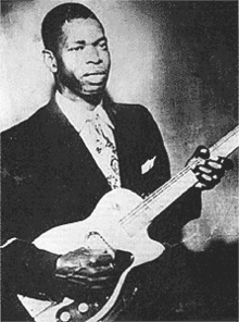 Dust My Broom by Elmore James