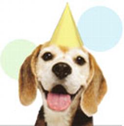 Click Here for Beagle Rescue & Adoption...