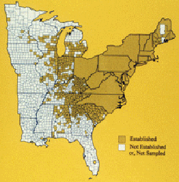 Click Here for Managing the Japanese Beetle - APHIS - U.S. Department of Agriculture...