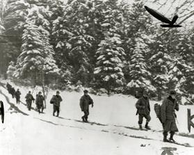 Members of the 103d Infantry Division (Cactus) push forward through the heavy snow somewhere in the Vosges Mountains. During this period it seems the weather was a German ally, but American forces are making progress all along the battle front. (Click Here)