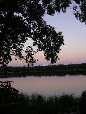 July 2010