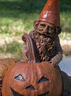 Tom Clark Gnome "Hal" halloween