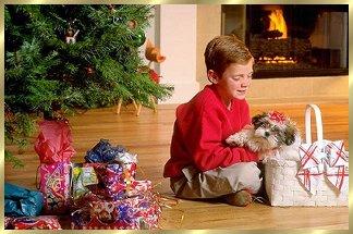 THE CHRISTMAS WISH By Marilyn Ferguson
