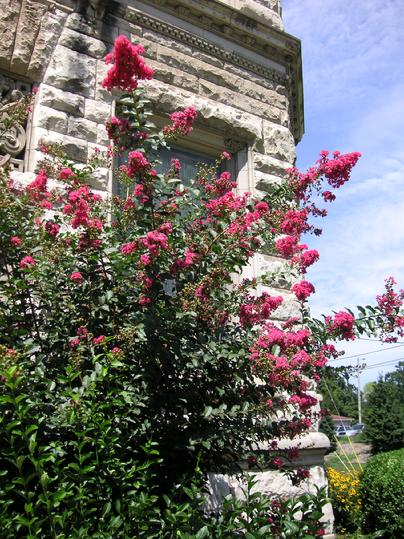 Conrad-Caldwell House August 18th, 2019