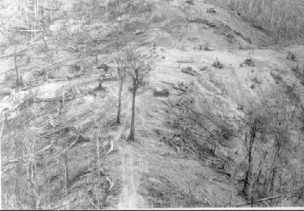 Hamburger Hill