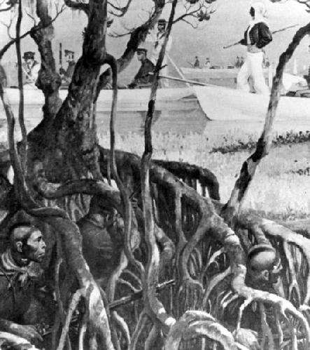 Click here for the Seminole Wars Foundation and History.