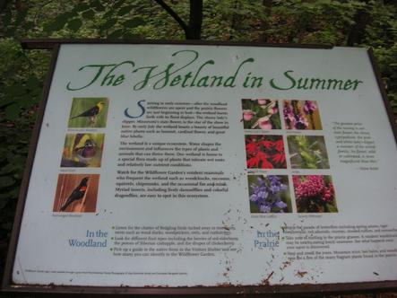 eloise butler wildflower garden
