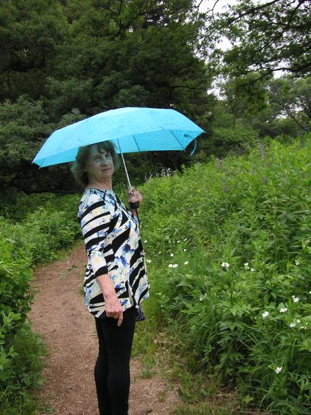 eloise butler wildflower garden