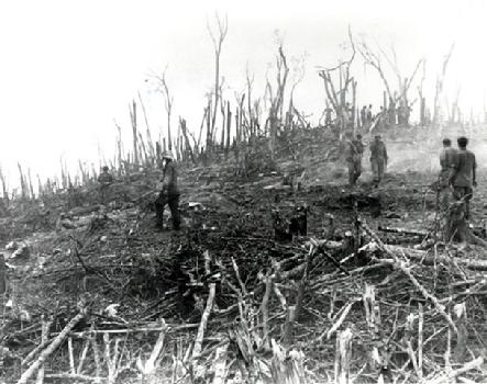 http://www.weststpaulantiques.com/images/443_hamburger-hill-destruction.jpg