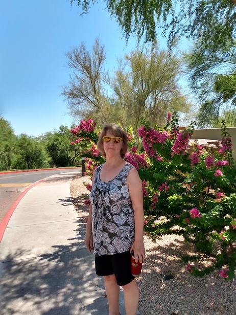 Phoenix Arizona 6/2020
