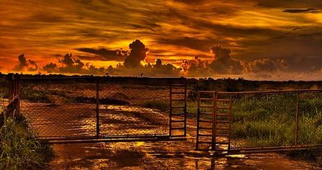 Sunset Lover by Ashley Dickerson