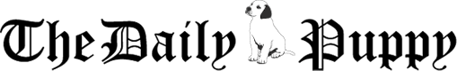 Click Here