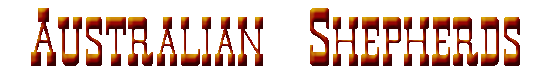 Click Here