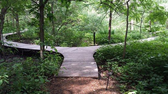eloise butler wildflower garden