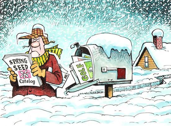 Minnesota's Winter Snowfall