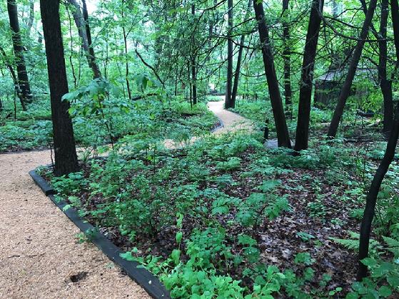 eloise butler wildflower garden