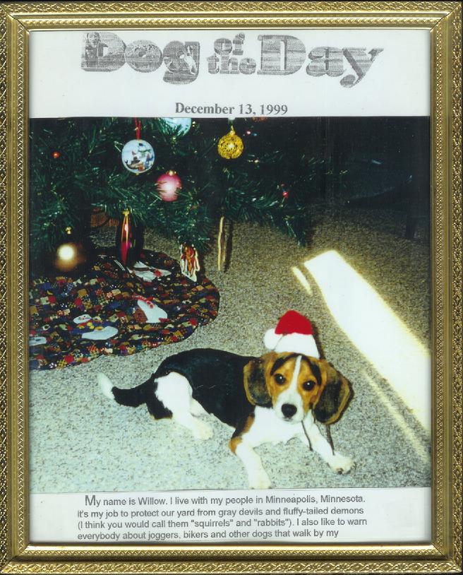 Click Here for Willow's web page...