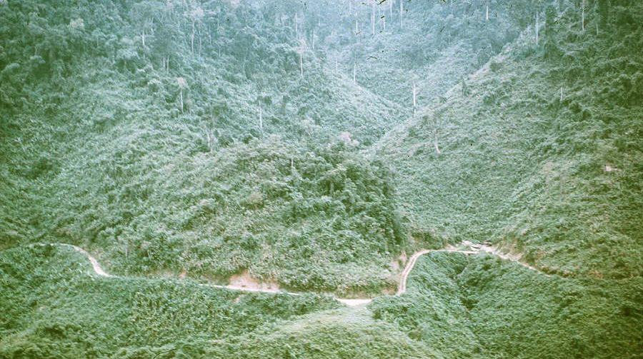 Elephant Valley