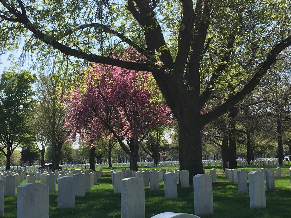 Fort Snelling National Cemetery