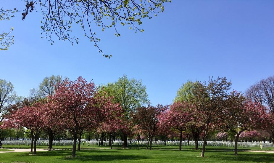 Fort Snelling National Cemetery