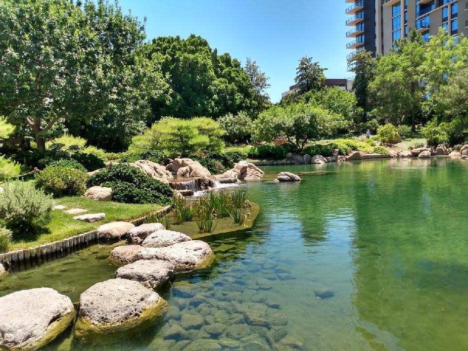Japanese Garden Phoenix Arizona 2020
