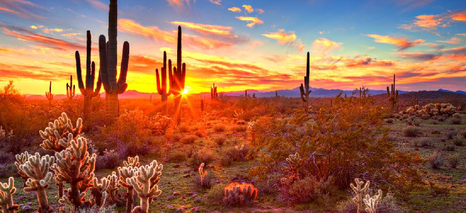 Phoenix Arizona 2020