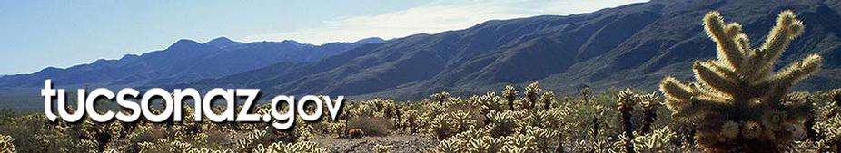 Click Here for Tucson's Web Site!